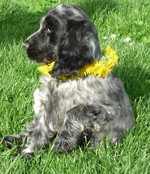 Berry 5.6.2010 (2).jpg